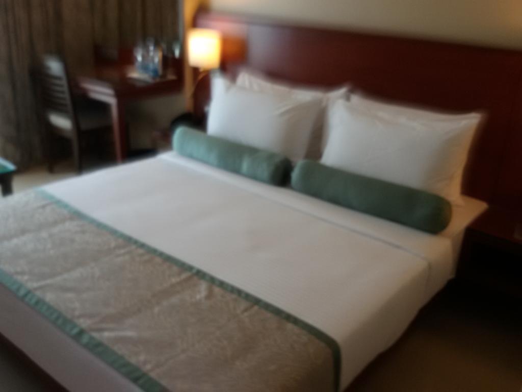 绿橄榄酒店 奥兰加巴德 外观 照片